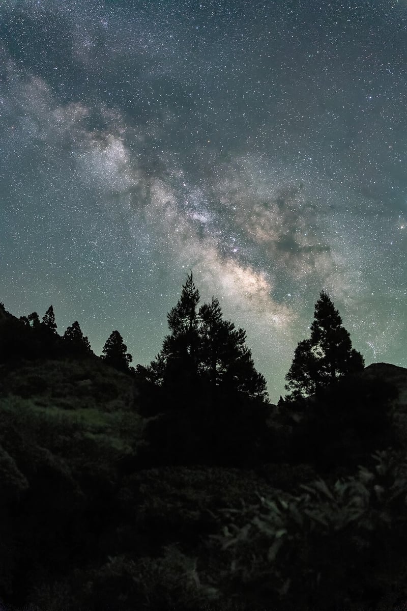 Starry Night Image